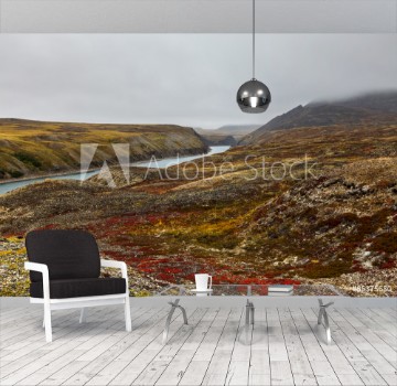Picture of Autumn tundra in fog and river Amguema Arctic Circle Russia